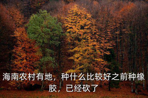 海南農村有地，種什么比較好之前種橡膠，已經砍了
