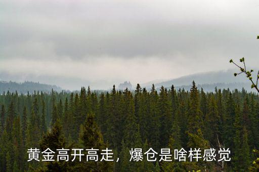 黃金高開高走，爆倉(cāng)是啥樣感覺
