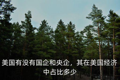 美國有沒有國企和央企，其在美國經(jīng)濟(jì)中占比多少