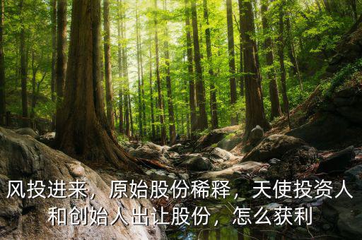 風(fēng)投進(jìn)來，原始股份稀釋，天使投資人和創(chuàng)始人出讓股份，怎么獲利
