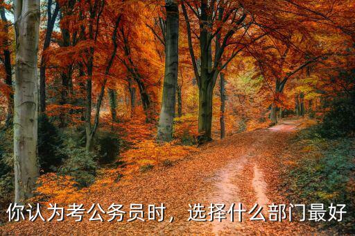 你認為考公務員時，選擇什么部門最好