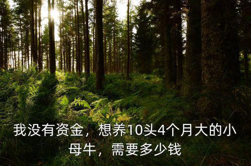 我沒有資金，想養(yǎng)10頭4個月大的小母牛，需要多少錢