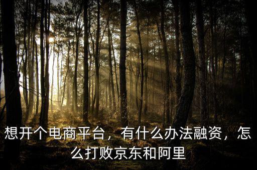 想開個電商平臺，有什么辦法融資，怎么打敗京東和阿里