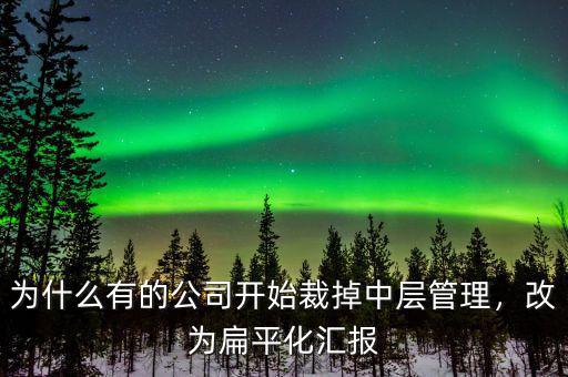 為什么有的公司開始裁掉中層管理，改為扁平化匯報(bào)
