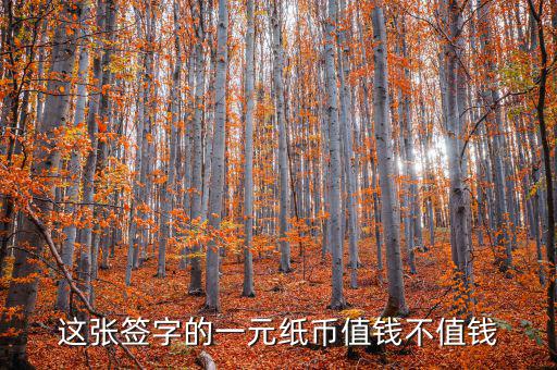 什么紙幣值錢(qián)圖片,什么是豹子頭錢(qián)幣