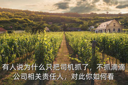 有人說(shuō)為什么只把司機(jī)抓了，不抓滴滴公司相關(guān)責(zé)任人，對(duì)此你如何看