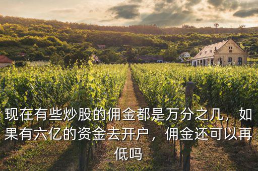現(xiàn)在有些炒股的傭金都是萬分之幾，如果有六億的資金去開戶，傭金還可以再低嗎