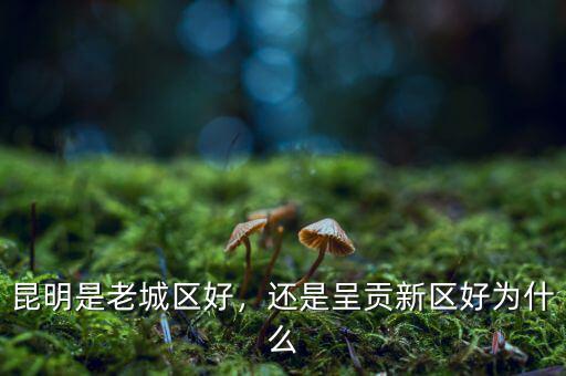昆明是老城區(qū)好，還是呈貢新區(qū)好為什么