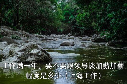 工作滿一年，要不要跟領(lǐng)導(dǎo)談加薪加薪幅度是多少（上海工作）