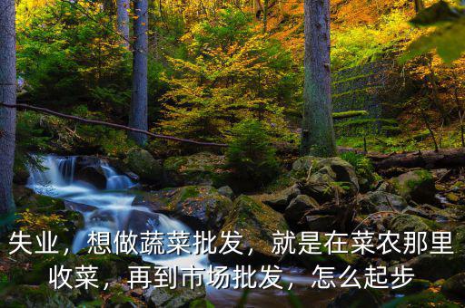 失業(yè)，想做蔬菜批發(fā)，就是在菜農(nóng)那里收菜，再到市場批發(fā)，怎么起步