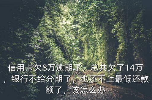 信用卡欠8萬逾期了，總共欠了14萬，銀行不給分期了，也還不上最低還款額了，該怎么辦