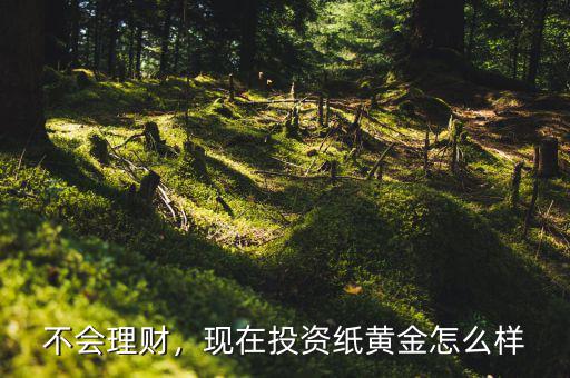 不會理財，現(xiàn)在投資紙黃金怎么樣