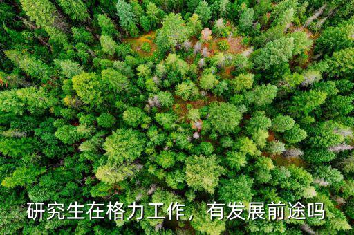 研究生在格力工作，有發(fā)展前途嗎