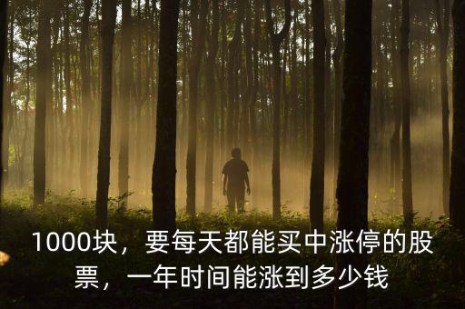 1000塊，要每天都能買中漲停的股票，一年時(shí)間能漲到多少錢