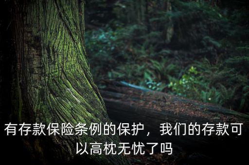 有存款保險條例的保護，我們的存款可以高枕無憂了嗎