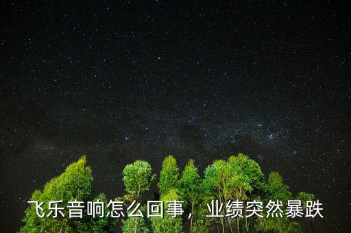 飛樂音響怎么回事，業(yè)績(jī)突然暴跌