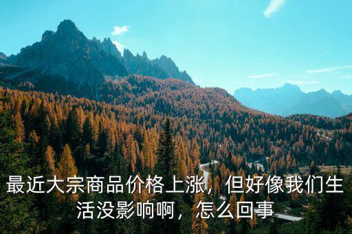 最近大宗商品價(jià)格上漲，但好像我們生活沒(méi)影響啊，怎么回事