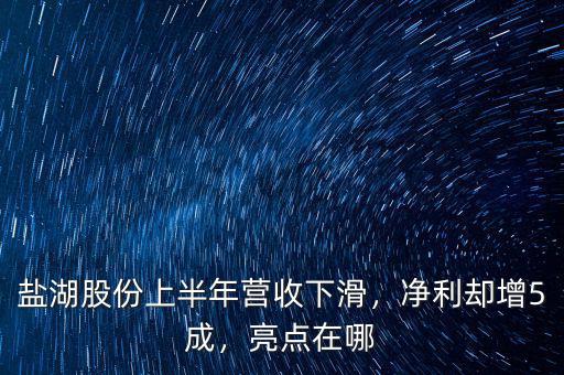 鹽湖股份上半年營收下滑，凈利卻增5成，亮點在哪