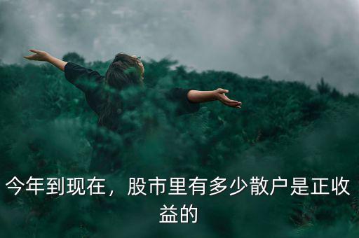 今年到現(xiàn)在，股市里有多少散戶是正收益的