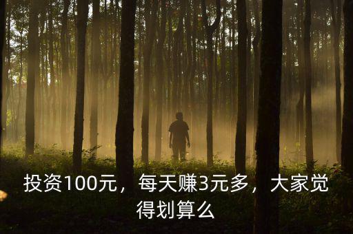 投資100元，每天賺3元多，大家覺得劃算么
