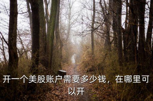 開(kāi)一個(gè)美股賬戶需要多少錢(qián)，在哪里可以開(kāi)