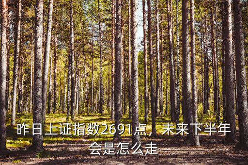 昨日上證指數(shù)2691點(diǎn)，未來下半年會(huì)是怎么走