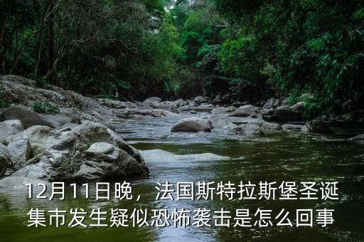 12月11日晚，法國斯特拉斯堡圣誕集市發(fā)生疑似恐怖襲擊是怎么回事
