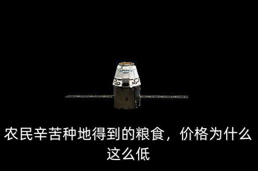 農(nóng)民辛苦種地得到的糧食，價格為什么這么低