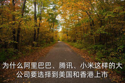 為什么阿里巴巴、騰訊、小米這樣的大公司要選擇到美國和香港上市