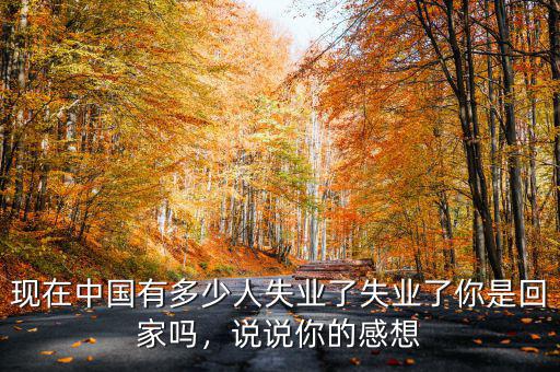 現(xiàn)在中國有多少人失業(yè)了失業(yè)了你是回家嗎，說說你的感想