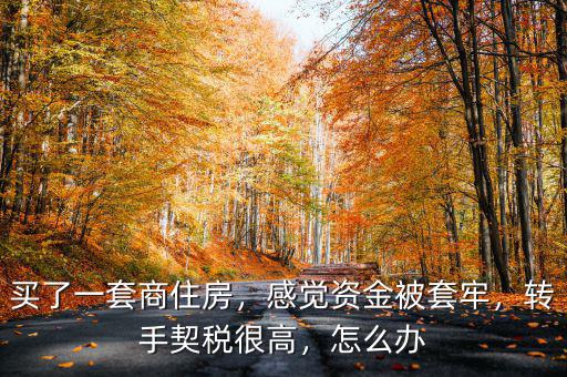 買了一套商住房，感覺資金被套牢，轉手契稅很高，怎么辦