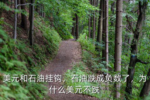 美元和石油掛鉤，石油跌成負(fù)數(shù)了，為什么美元不跌