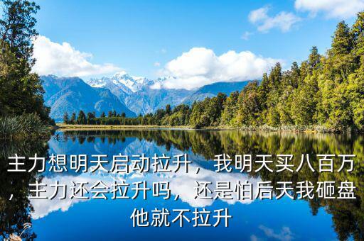 主力想明天啟動拉升，我明天買八百萬，主力還會拉升嗎，還是怕后天我砸盤他就不拉升