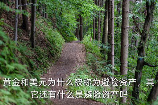 黃金和美元為什么被稱為避險(xiǎn)資產(chǎn)，其它還有什么是避險(xiǎn)資產(chǎn)嗎