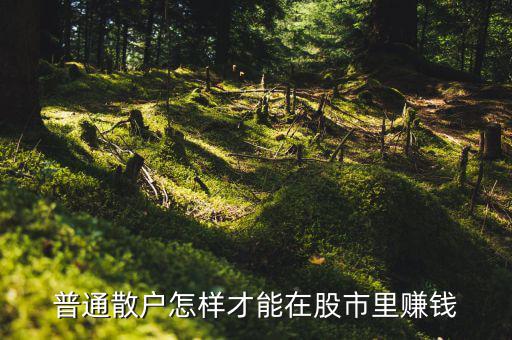 散戶怎么賺錢(qián),假若散戶都不炒股了