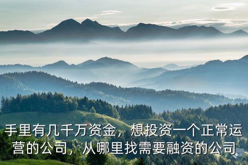 手里有幾千萬資金，想投資一個正常運營的公司，從哪里找需要融資的公司