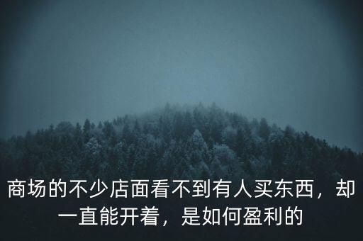 商場的不少店面看不到有人買東西，卻一直能開著，是如何盈利的