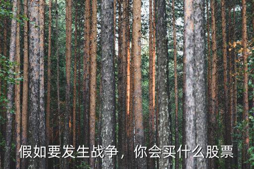 假如要發(fā)生戰(zhàn)爭，你會買什么股票