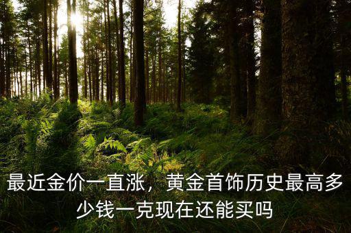 最近金價一直漲，黃金首飾歷史最高多少錢一克現(xiàn)在還能買嗎