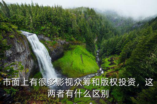 市面上有很多影視眾籌和版權投資，這兩者有什么區(qū)別
