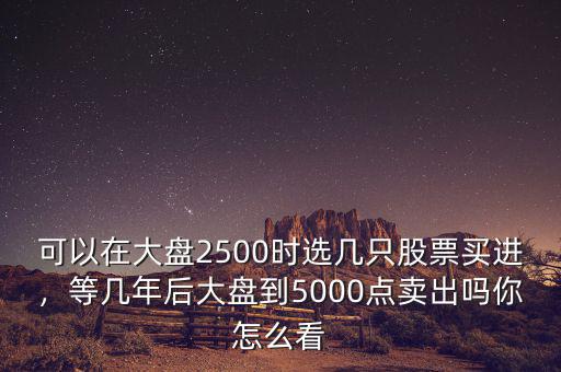可以在大盤2500時(shí)選幾只股票買進(jìn)，等幾年后大盤到5000點(diǎn)賣出嗎你怎么看