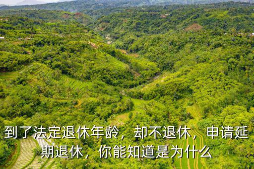 到了法定退休年齡，卻不退休，申請延期退休，你能知道是為什么
