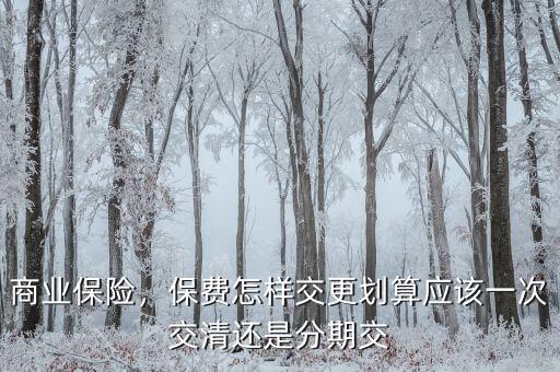 商業(yè)保險，保費(fèi)怎樣交更劃算應(yīng)該一次交清還是分期交