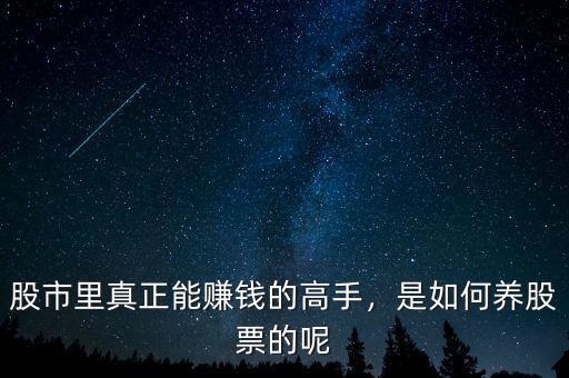 股市里真正能賺錢的高手，是如何養(yǎng)股票的呢
