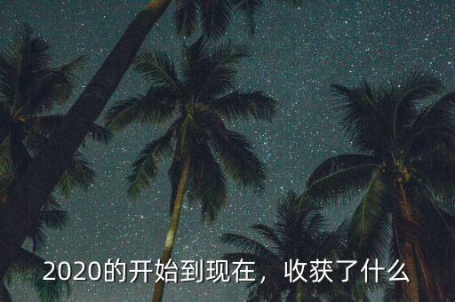 2020的開(kāi)始到現(xiàn)在，收獲了什么