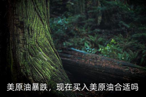 美原油暴跌，現(xiàn)在買(mǎi)入美原油合適嗎