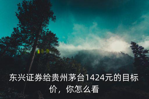 東興證券給貴州茅臺1424元的目標價，你怎么看