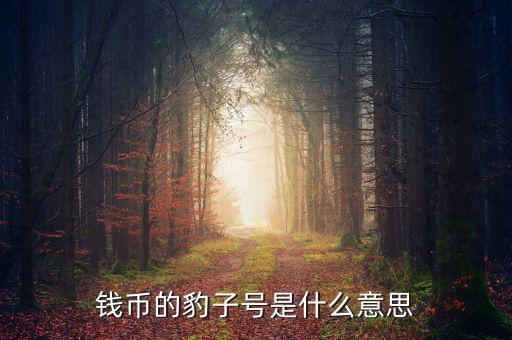 錢幣的豹子號(hào)是什么意思