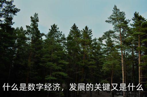 什么是數(shù)字經(jīng)濟(jì)，發(fā)展的關(guān)鍵又是什么