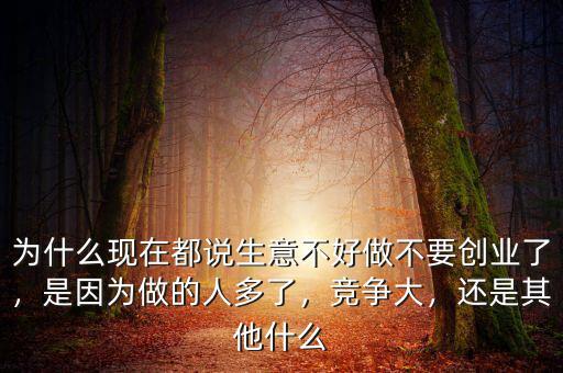 為什么現(xiàn)在都說(shuō)生意不好做不要?jiǎng)?chuàng)業(yè)了，是因?yàn)樽龅娜硕嗔?，?jìng)爭(zhēng)大，還是其他什么